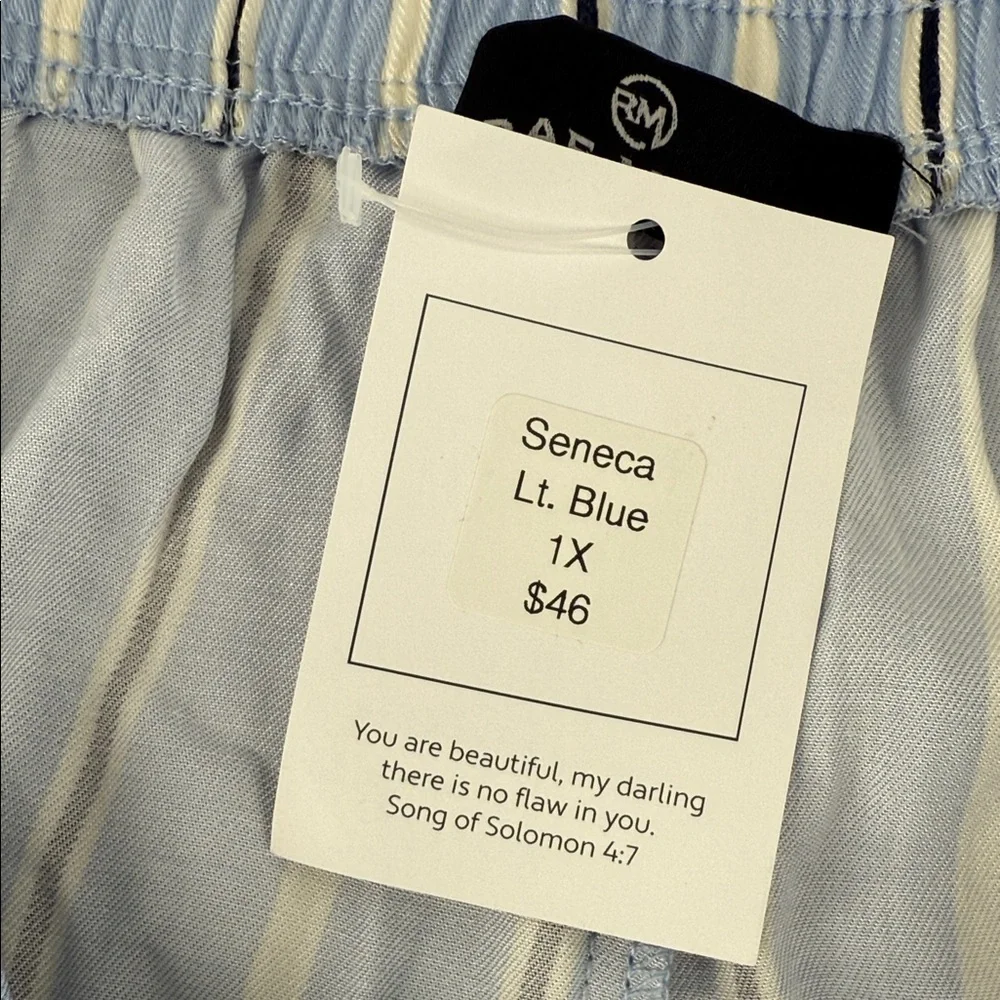 Rae Mode Pants Wm 1X Seneca Light Blue Striped Wide-Leg Button Close - Picture 9 of 9